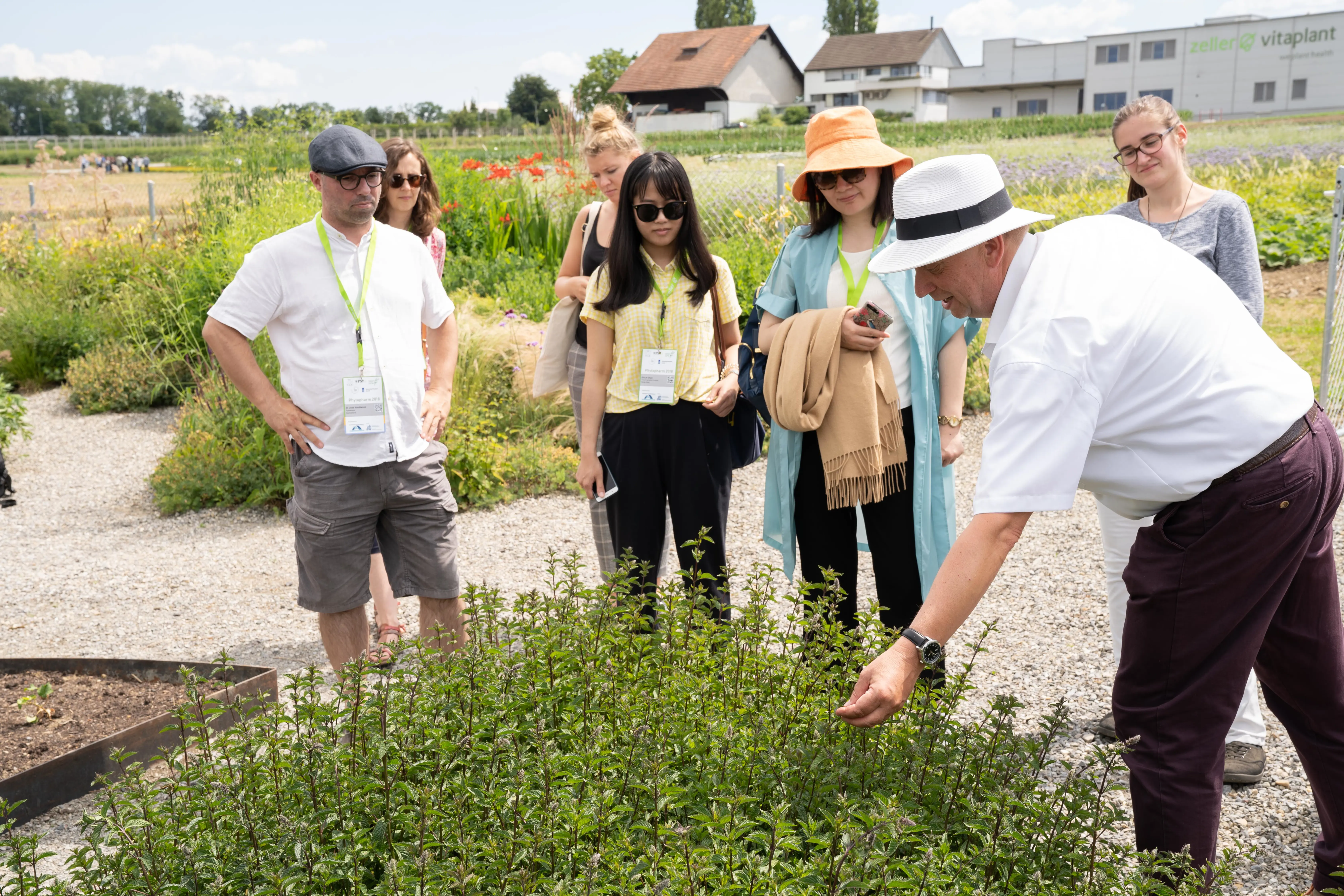 Phytopharm 2018 – Participant Statements