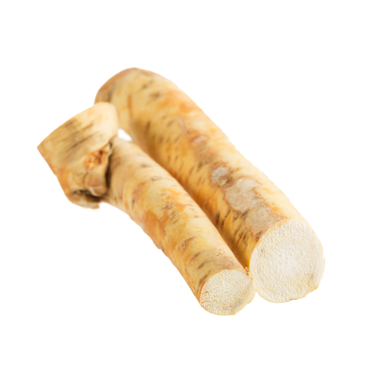 Horseradish