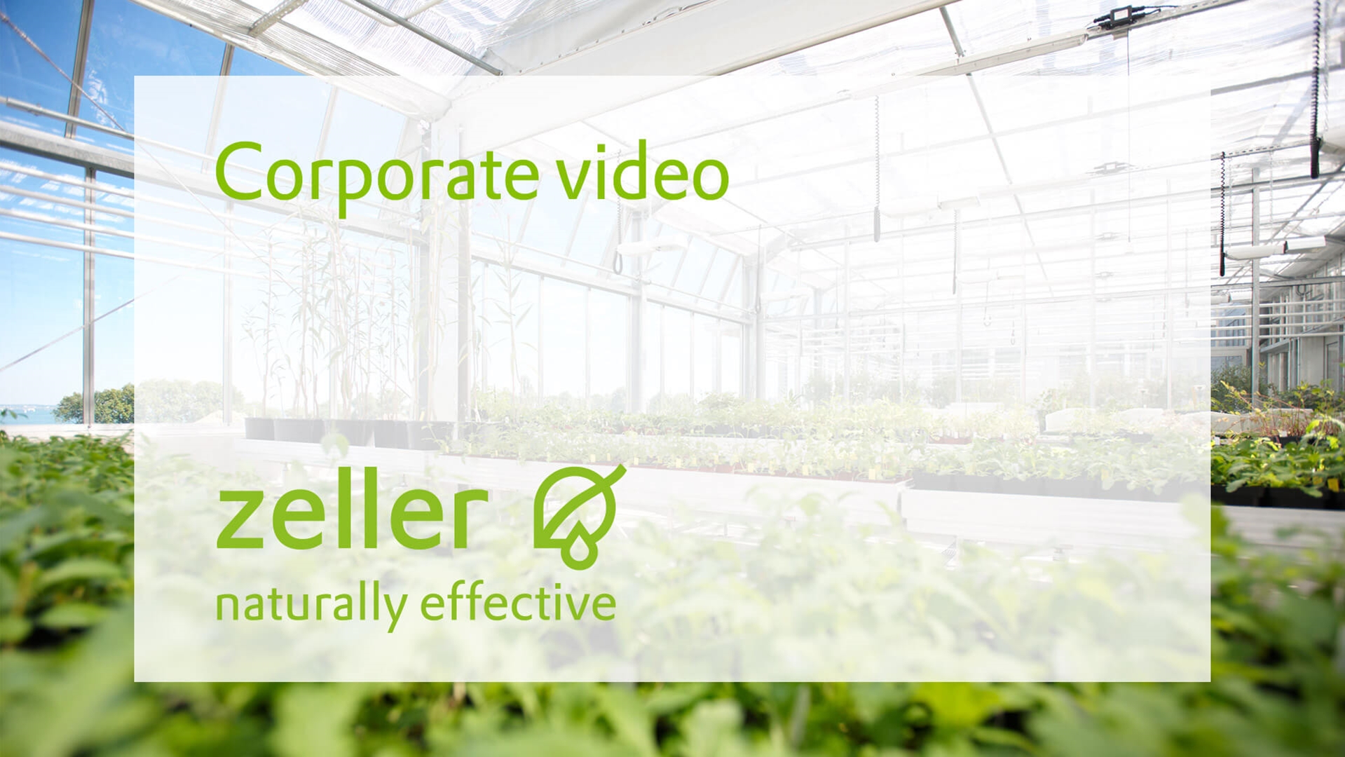 zeller-corporate-video.jpg