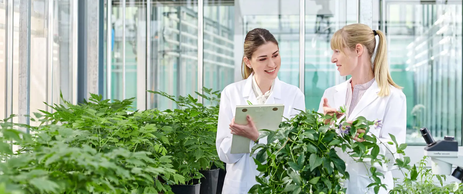 swis-expertise-phyto-pharmaceuticals.jpg
