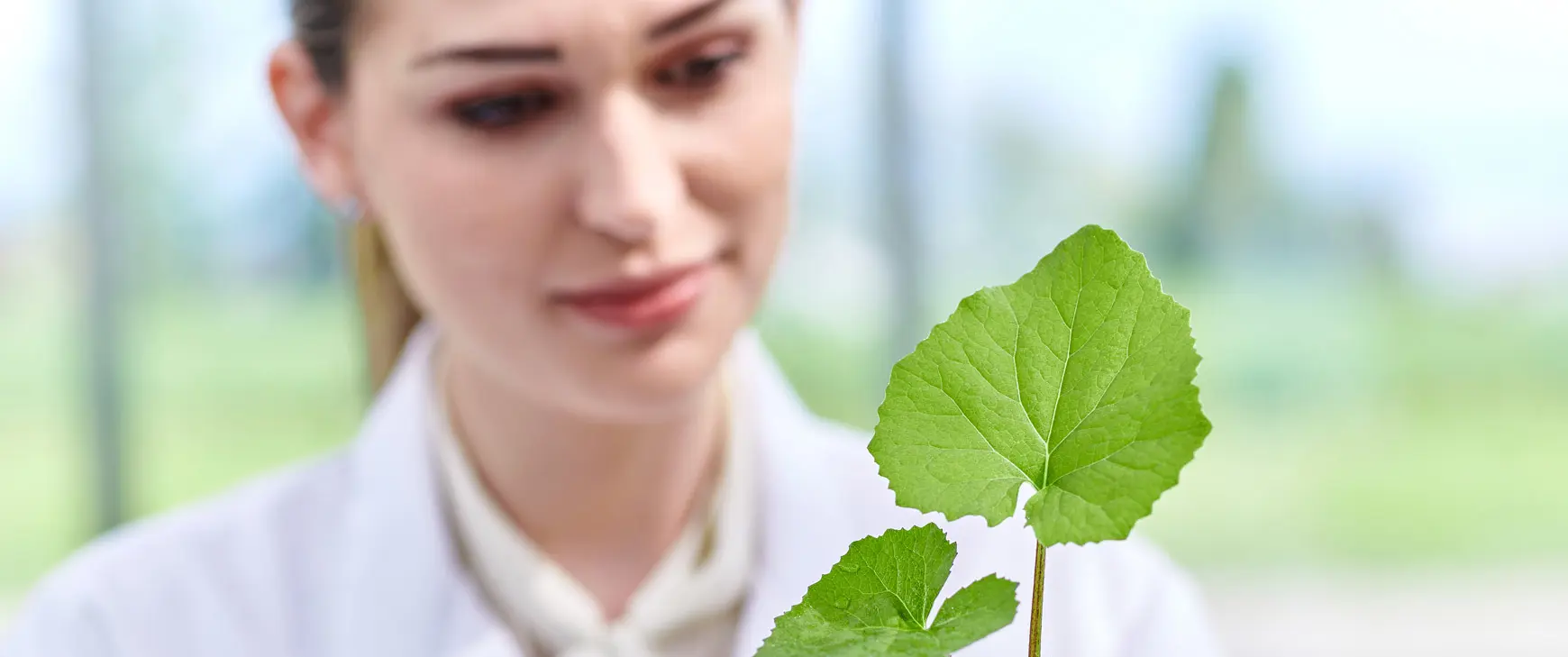 from-seed-to-patient.jpg
