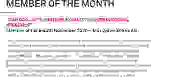 S-GE Member of the month for November 2020