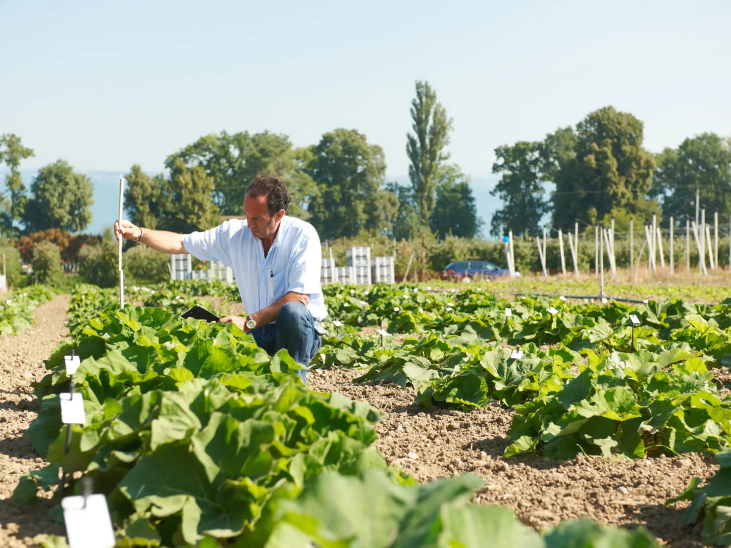 02-Controlled-cultivation.jpg