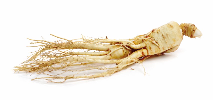 Ginseng