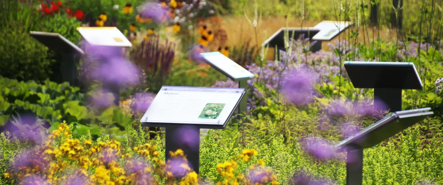 ETH students visit Zeller_vitaplant medical plant garden.jpg